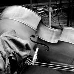 Κουρδίζοντας... τον Βιολιστή στη Στέγη