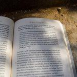 Σελιδοδείκτης: Πάτρηκ Λη Φέρμαρ μια περιπέτεια, της Άρτεμις Κούπερ