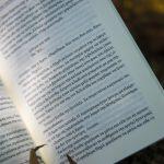 Σελιδοδείκτης: Ο Θεός των μικρών πραγμάτων, της Αρουντάτι Ρόι