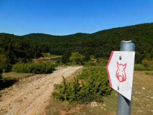 Λίμνη Κατή: Άγνωστος παράδεισος στον Όλυμπο