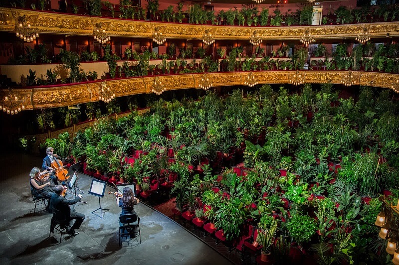 22 Ιουνίου: Το κουαρτέτο UceLi παίζει για ένα κοινό φυτών κατά τη διάρκεια μιας συναυλίας που μεταδόθηκε ζωντανά από την όπερα Gran Teatre del Liceu στη Βαρκελώνη της Ισπανίας.