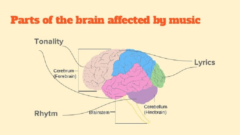 Οι περιοχές του εγκεφάλου που επηρεάζονται από την ακρόαση μουσικής