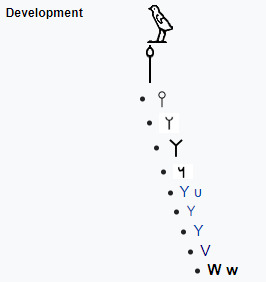 Η εξέλιξη του βαυ από τα ιερογλυφικά ως τα σύγχρονα ευρωπαϊκά αλφάβητα