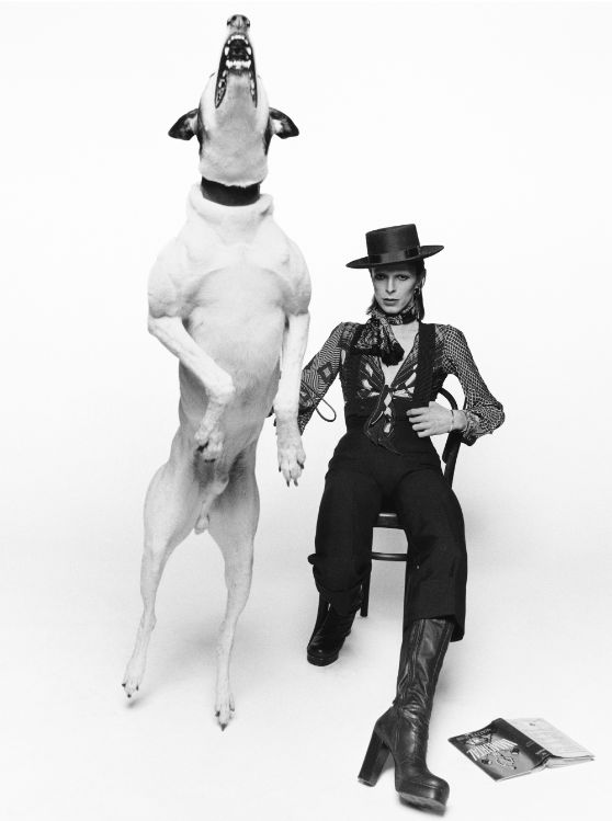 Από την φωτογράφιση του Davi Bowie για το εξώφυλλο του δίσκου του "Diamond Dogs", 1974.