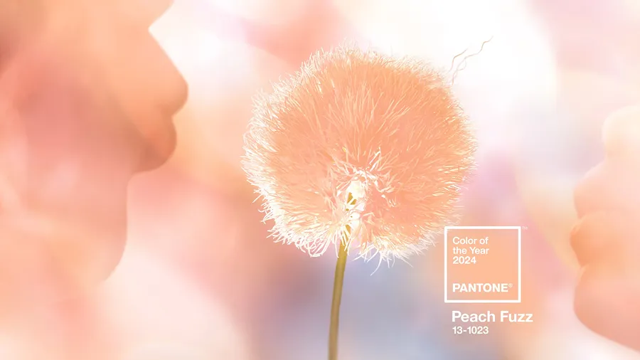 Το Χρώμα της Χρονιάς 2024 της Pantone συμβολίζει την ανθρώπινη συμπόνια και τη σύνδεση