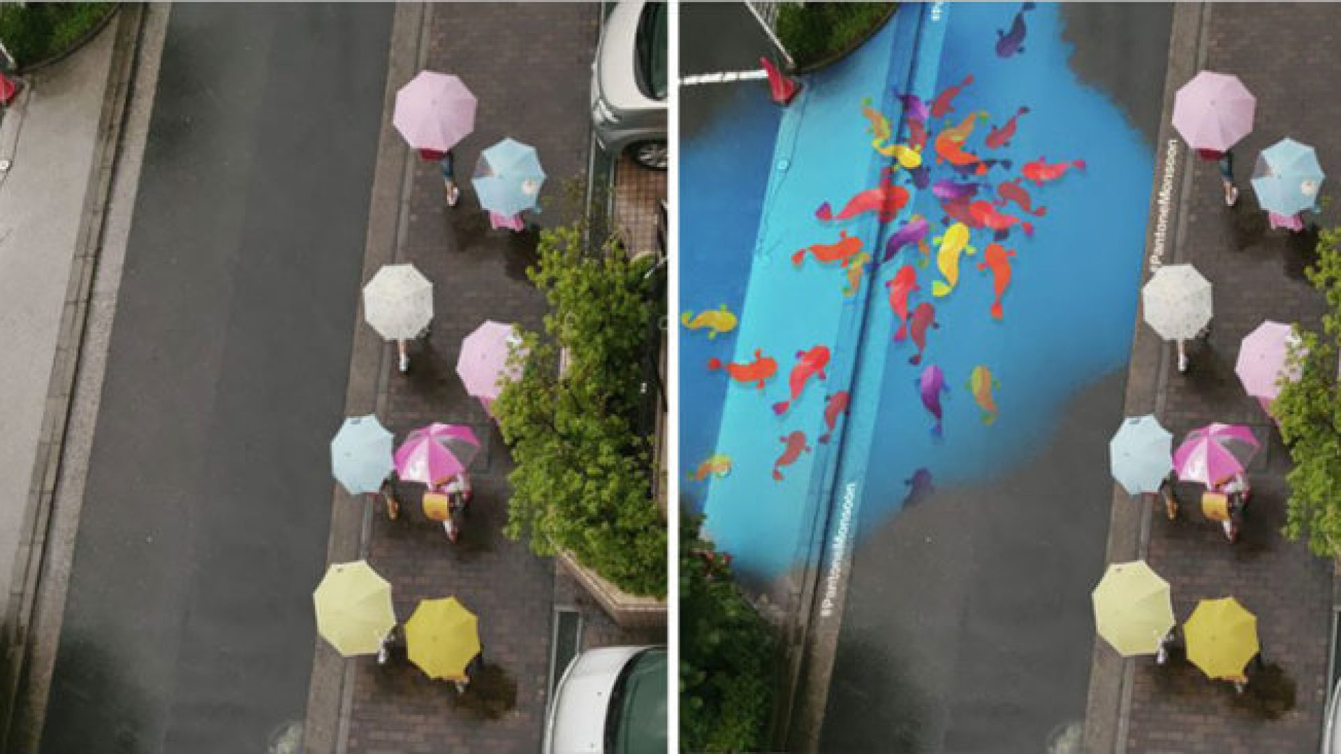 Project Monsoon: Τοιχογραφίες στους δρόμους της Σεούλ εμφανίζονται με την βροχή